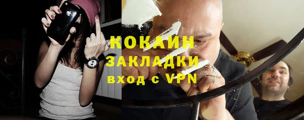 крисы Новокубанск