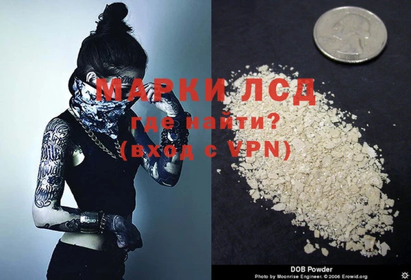 ешки Новозыбков