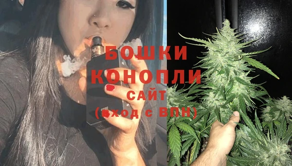 гашик Нея