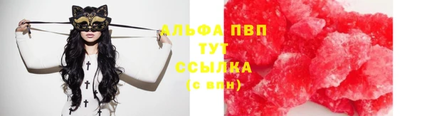 ешки Новозыбков