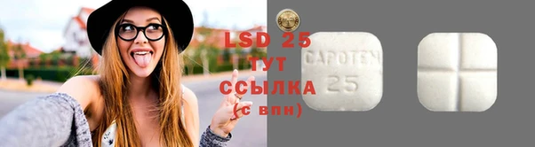 ешки Новозыбков