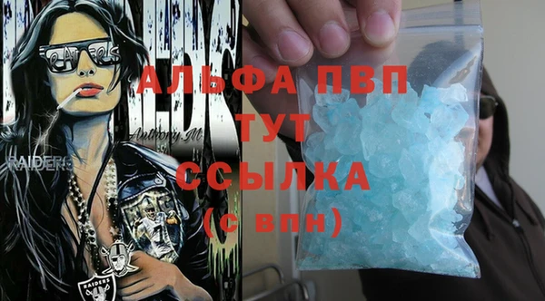 ешки Новозыбков