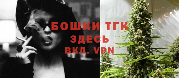 ешки Новозыбков