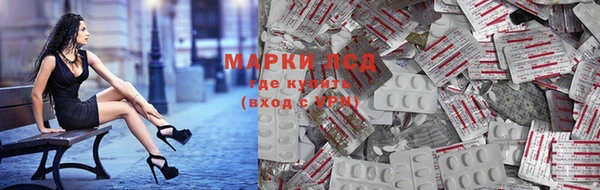 крисы Новокубанск