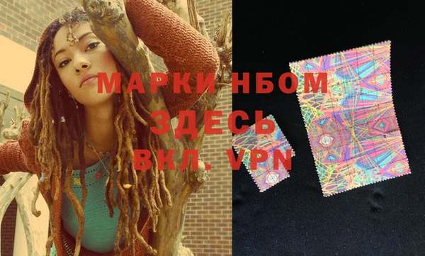 ешки Новозыбков