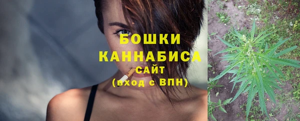 ешки Новозыбков
