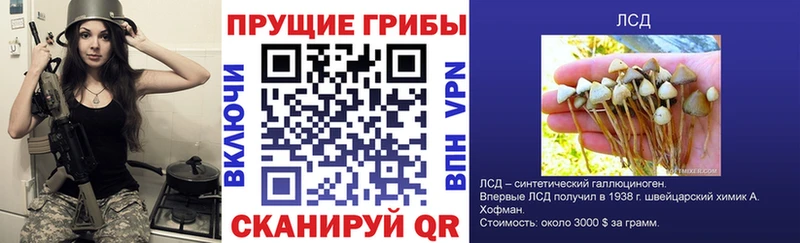 Купить Шацк Псилоцибиновые грибы ЛСД